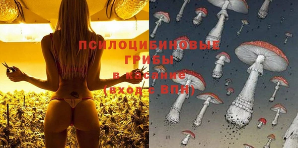 шишки Покров