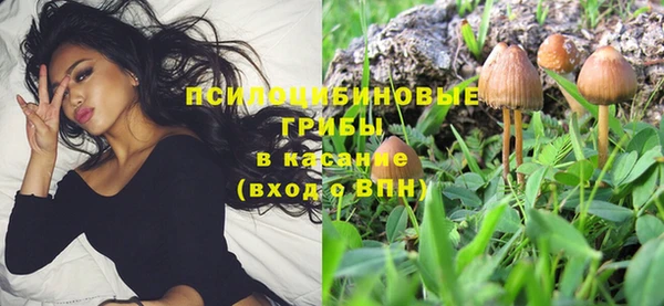 MESCALINE Покачи