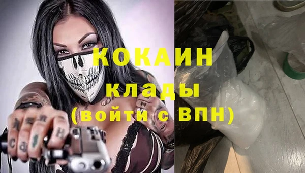 шишки Покров