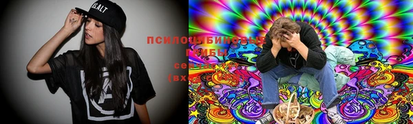 прущая мука Кодинск